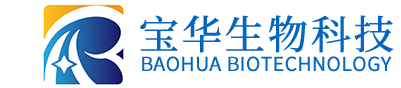 1XBET官方网址